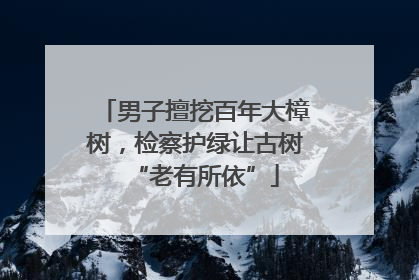 男子擅挖百年大樟树，检察护绿让古树“老有所依”