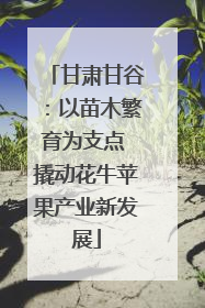 甘肃甘谷：以苗木繁育为支点 撬动花牛苹果产业新发展