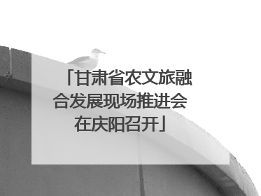 甘肃省农文旅融合发展现场推进会在庆阳召开
