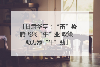 甘肃华亭：“畜”势腾飞兴“牛”业 政策助力添“牛”劲