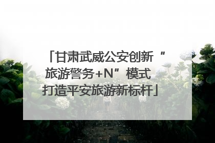 甘肃武威公安创新“旅游警务+N”模式 打造平安旅游新标杆