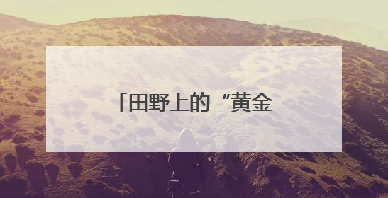 田野上的“黄金屋”丨二手书页浇出“精神绿洲”