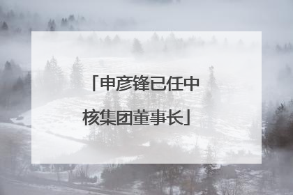 申彦锋已任中核集团董事长