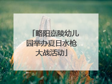 略阳嘉陵幼儿园举办夏日水枪大战活动