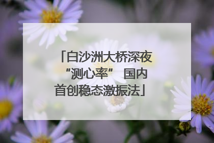 白沙洲大桥深夜“测心率” 国内首创稳态激振法