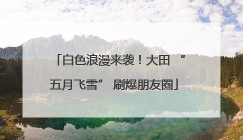 白色浪漫来袭！大田 “五月飞雪” 刷爆朋友圈