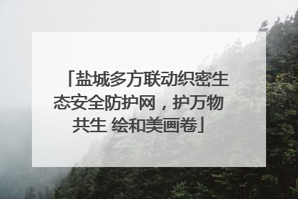 盐城多方联动织密生态安全防护网，护万物共生 绘和美画卷