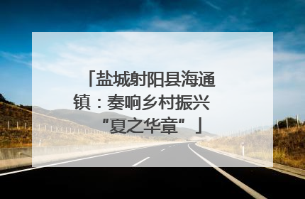 盐城射阳县海通镇：奏响乡村振兴“夏之华章”