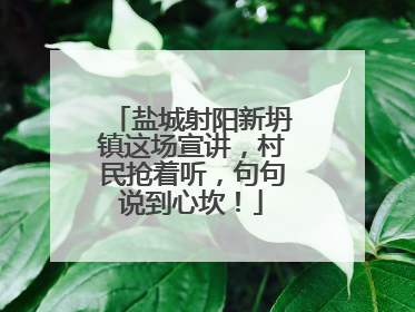 盐城射阳新坍镇这场宣讲，村民抢着听，句句说到心坎！