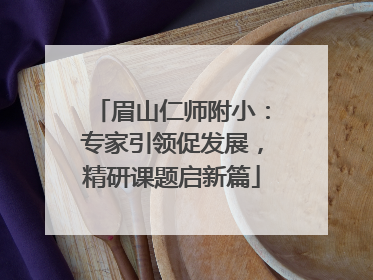 眉山仁师附小：专家引领促发展，精研课题启新篇