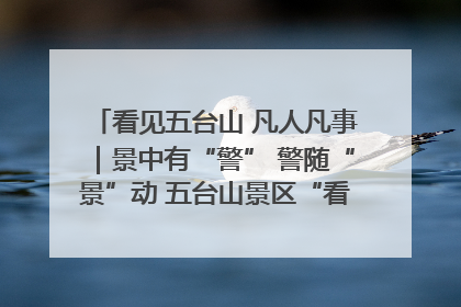 看见五台山 凡人凡事｜景中有“警” 警随“景”动 五台山景区“看得见”的平安守护