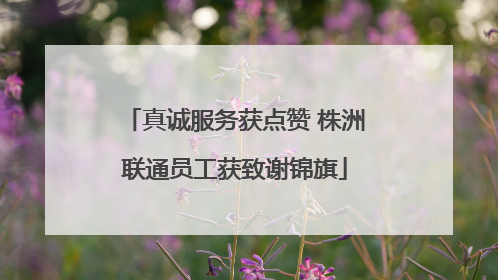 真诚服务获点赞 株洲联通员工获致谢锦旗