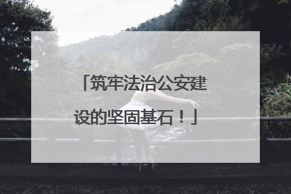 筑牢法治公安建设的坚固基石！