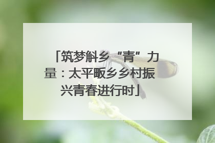 筑梦斛乡“青”力量：太平畈乡乡村振兴青春进行时