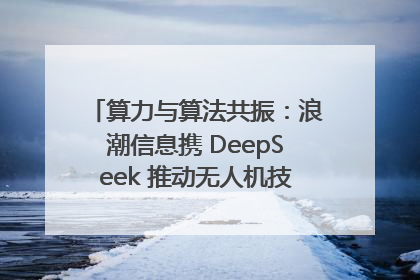 算力与算法共振：浪潮信息携 DeepSeek 推动无人机技术在舟山落地