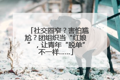 社交圈窄？害怕尴尬？团组织当“红娘”，让青年“脱单”不一样……