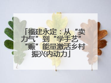 福建永定：从“卖力气”到“学手艺”“赈”能量激活乡村振兴内动力