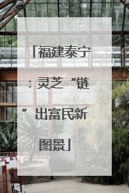福建泰宁：灵芝“链”出富民新图景