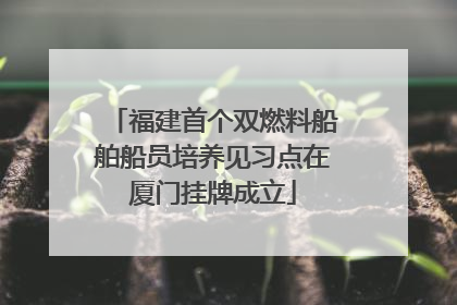 福建首个双燃料船舶船员培养见习点在厦门挂牌成立