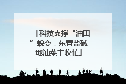 科技支撑“油田”蜕变，东营盐碱地油菜丰收忙