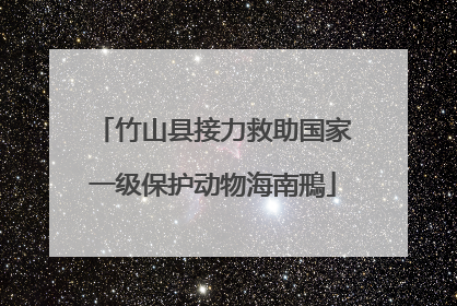 竹山县接力救助国家一级保护动物海南鳽