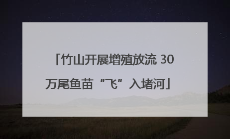 竹山开展增殖放流 30万尾鱼苗“飞”入堵河