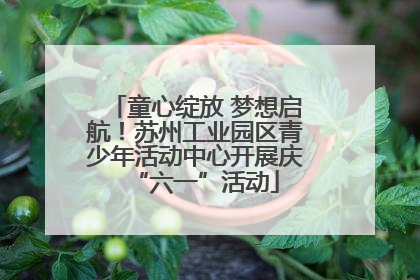 童心绽放 梦想启航！苏州工业园区青少年活动中心开展庆“六一”活动