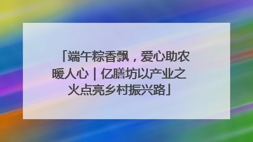端午粽香飘，爱心助农暖人心｜亿膳坊以产业之火点亮乡村振兴路