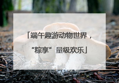 端午趣游动物世界，“粽享”量级欢乐