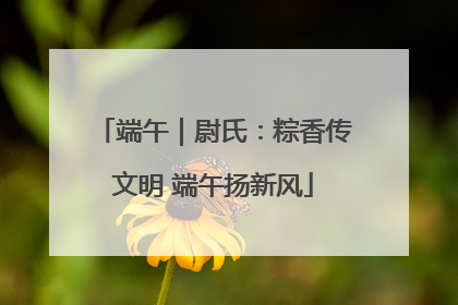 端午｜尉氏：粽香传文明 端午扬新风