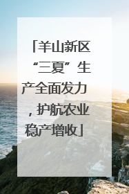 羊山新区“三夏”生产全面发力，护航农业稳产增收