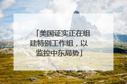 美国证实正在组建特别工作组，以监控中东局势