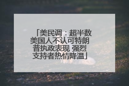 美民调：超半数美国人不认可特朗普执政表现 强烈支持者热情降温