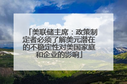 美联储主席：政策制定者必须了解美元潜在的不稳定性对美国家庭和企业的影响