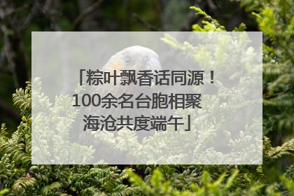 粽叶飘香话同源！100余名台胞相聚海沧共度端午