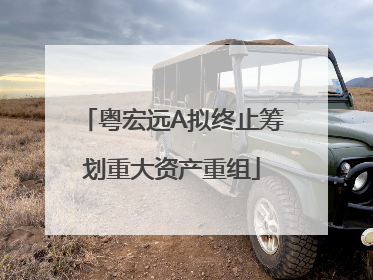粤宏远A拟终止筹划重大资产重组
