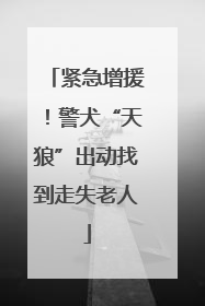 紧急增援！警犬“天狼”出动找到走失老人