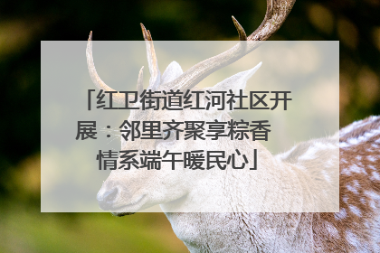 红卫街道红河社区开展：邻里齐聚享粽香 情系端午暖民心