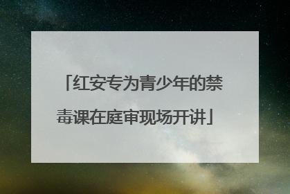 红安专为青少年的禁毒课在庭审现场开讲