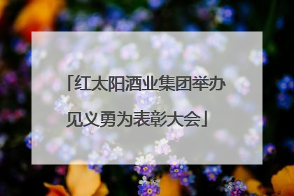 红太阳酒业集团举办见义勇为表彰大会