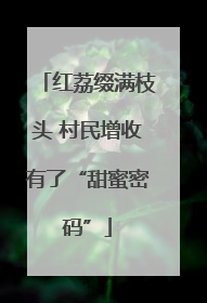 红荔缀满枝头 村民增收有了“甜蜜密码”