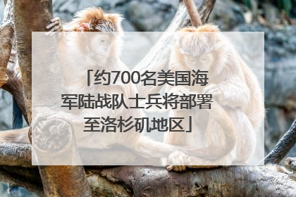 约700名美国海军陆战队士兵将部署至洛杉矶地区