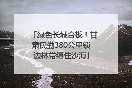 绿色长城合拢！甘肃民勤380公里锁边林带缚住沙海