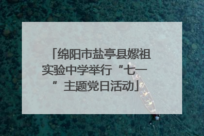 绵阳市盐亭县嫘祖实验中学举行“七一”主题党日活动