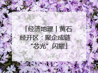 经济地理丨黄石经开区：聚企成链“芯光”闪耀