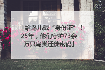 给鸟儿戴“身份证”！25年，他们守护73余万只鸟类迁徙密码