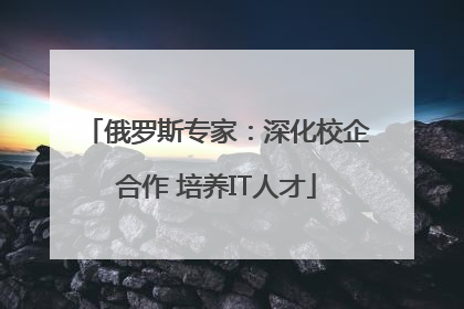 俄罗斯专家：深化校企合作 培养IT人才