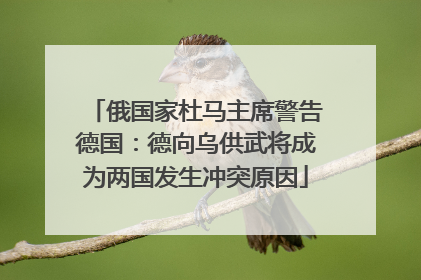 俄国家杜马主席警告德国：德向乌供武将成为两国发生冲突原因