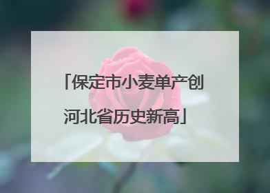 保定市小麦单产创河北省历史新高