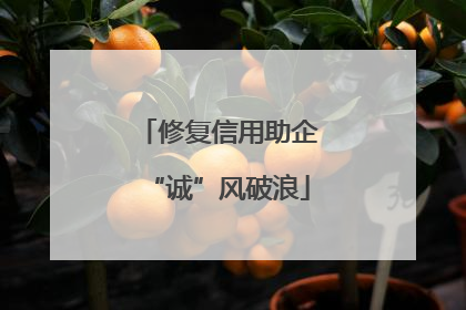 修复信用助企“诚”风破浪
